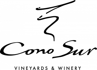 https://en.cowchile.cl/wp-content/uploads/2022/03/COW-Logo-ConoSur-320x229.png