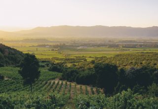 Biodynamic vineyards at the Los Robles estate, Emiliana Organic Vineyards, Chile